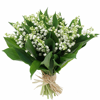 gros bouquet de muguet